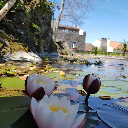 Stonewood Al בית נופש *