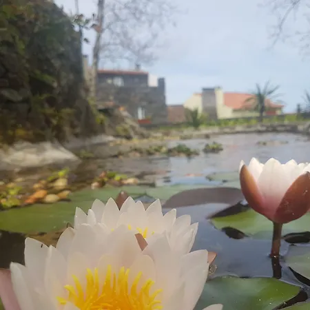 Stonewood Al São Vicente Ferreira