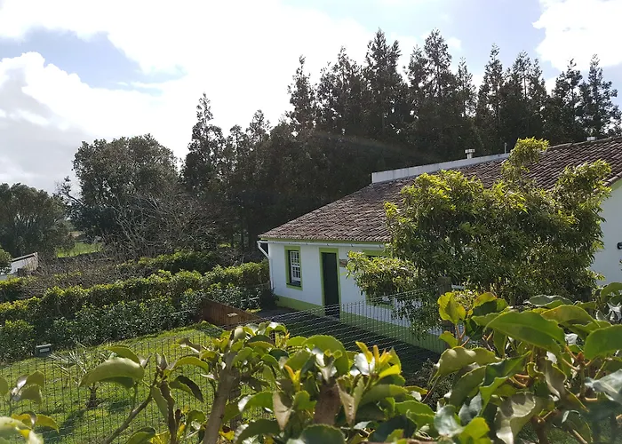 Stonewood Al São Vicente Ferreira