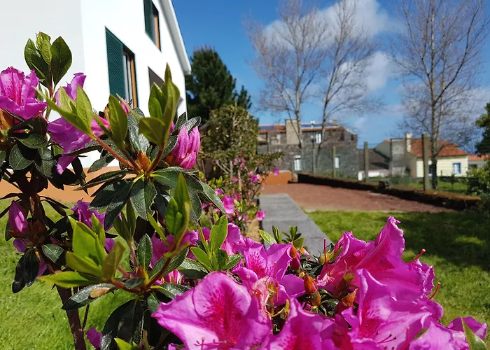 Stonewood Al São Vicente Ferreira
