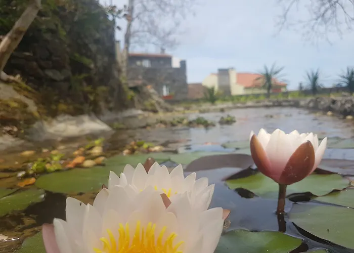 Stonewood Al São Vicente Ferreira