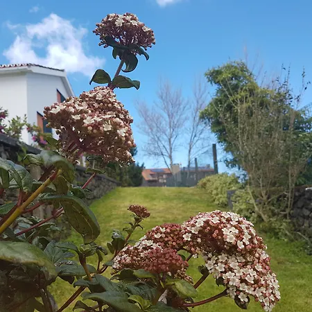 Stonewood Al * São Vicente Ferreira