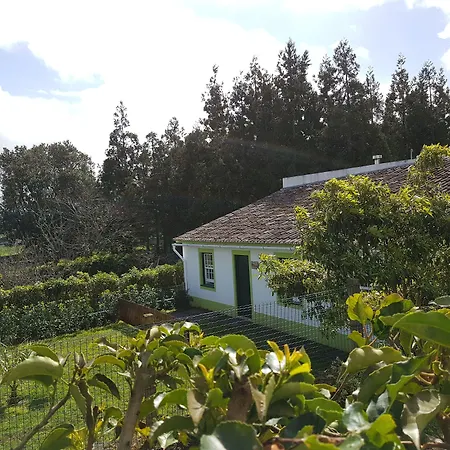 Stonewood Al São Vicente Ferreira