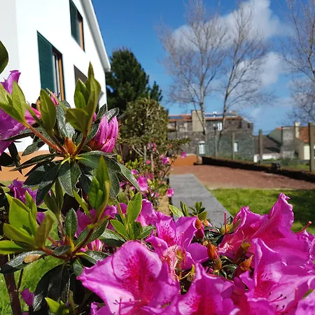 Stonewood Al São Vicente Ferreira