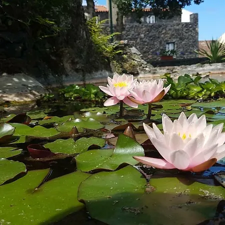 Stonewood Al Prázdninový dům *