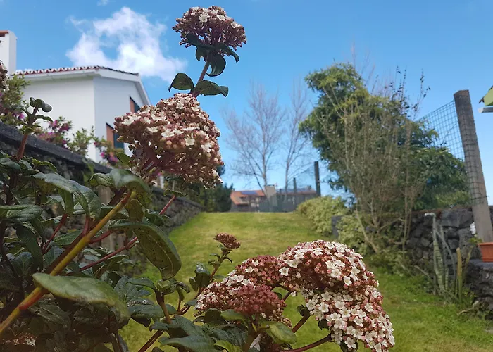Stonewood Al * Sao Vicente Ferreira