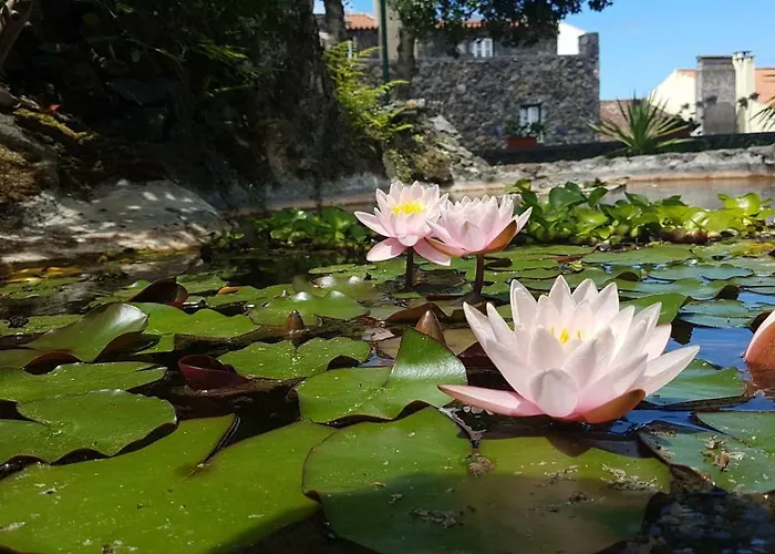 Stonewood Al Holiday home *